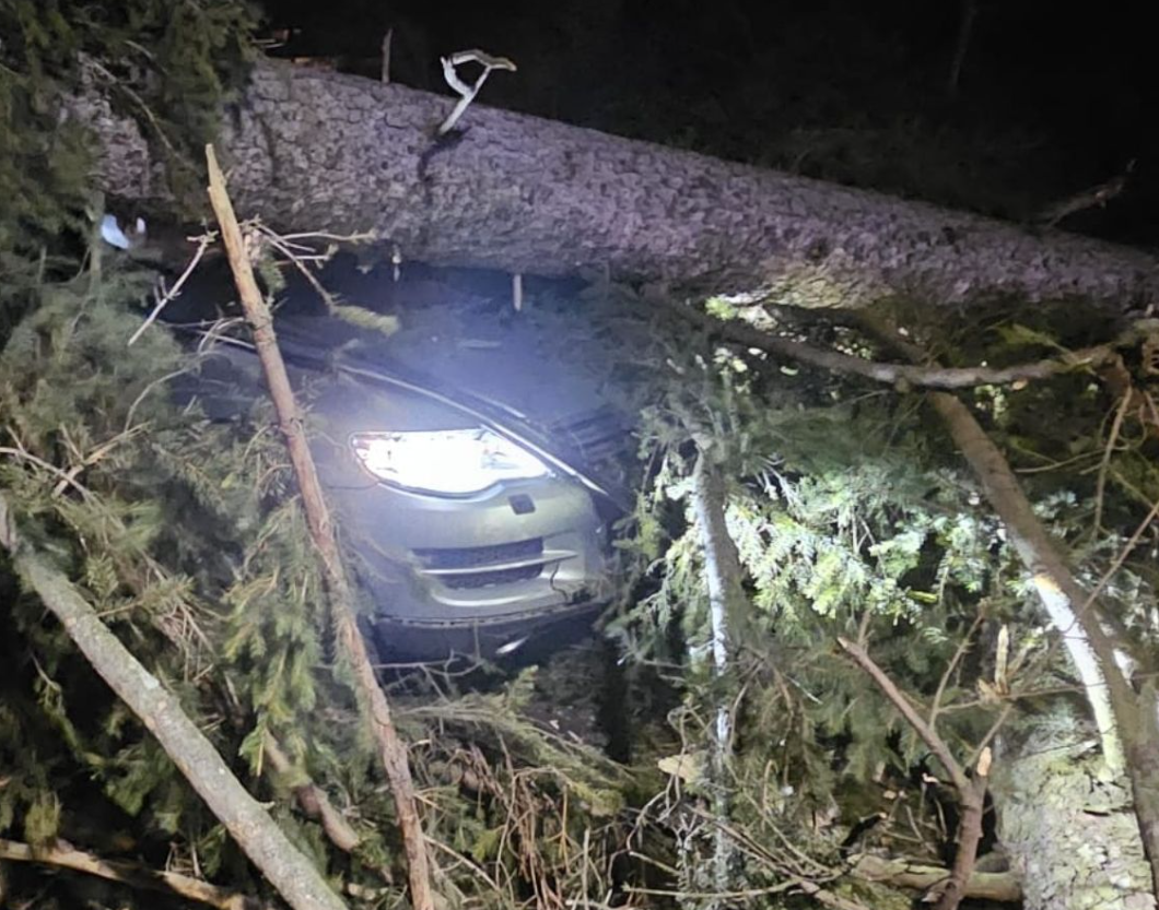 Furtuna a făcut prăpăd la Sinaia: un copac a căzut peste o mașină cu trei persoane