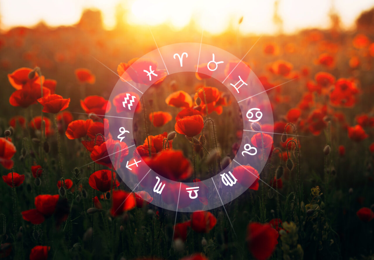 Singura zodie care își transformă un vis măreț în realitate, azi, 10 decembrie 2025. Universul se aliniază pentru acest nativ