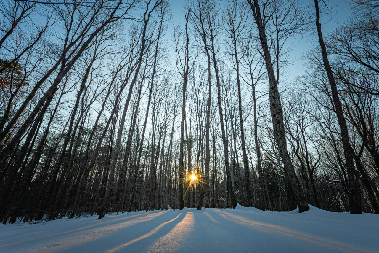 Solstițiul de iarnă 2025. Când va fi cea mai lungă noapte din acest an