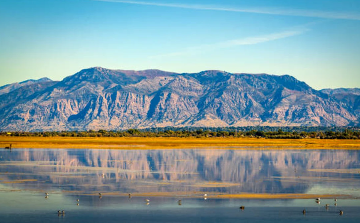Descoperirea secolului în Utah. Woaabi, un o vietate misterioasă, face valuri în cel mai mare lac sărat din America