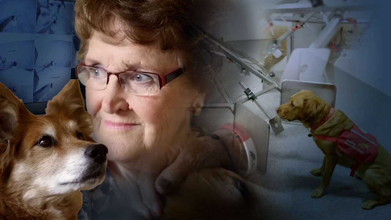 Clipul care a impresionat o lume întreagă. Povestea emoționantă a lui Max, câinele care și-a salvat stăpâna, detectând cancerul din corpul ei: „Și-a pus nasul pe pieptul meu pentru a verifica locul unde fusese operat. Îl iubesc atât de mult!”