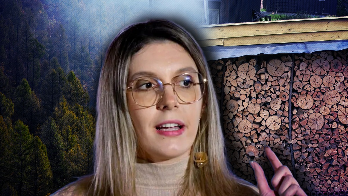 Ministrul Diana Buzoianu anunţă că marcarea lemnului de tăiat, din păduri, nu se mai face cu ciocanul: „Reprezintă un sistem arhaic”