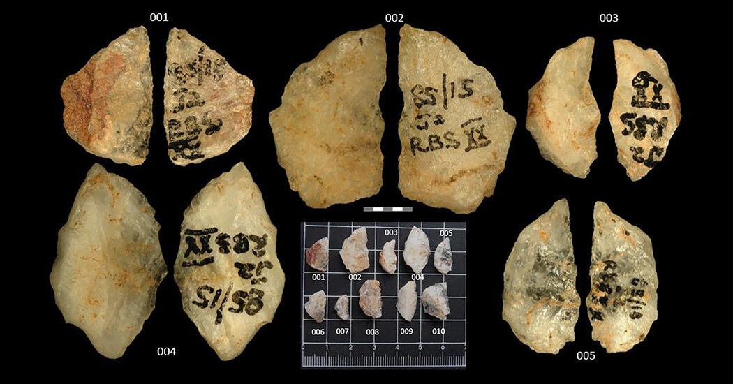 Oamenii de știință suedezi au descoperit că primii oameni vânau cu otravă acum 60.000 de ani