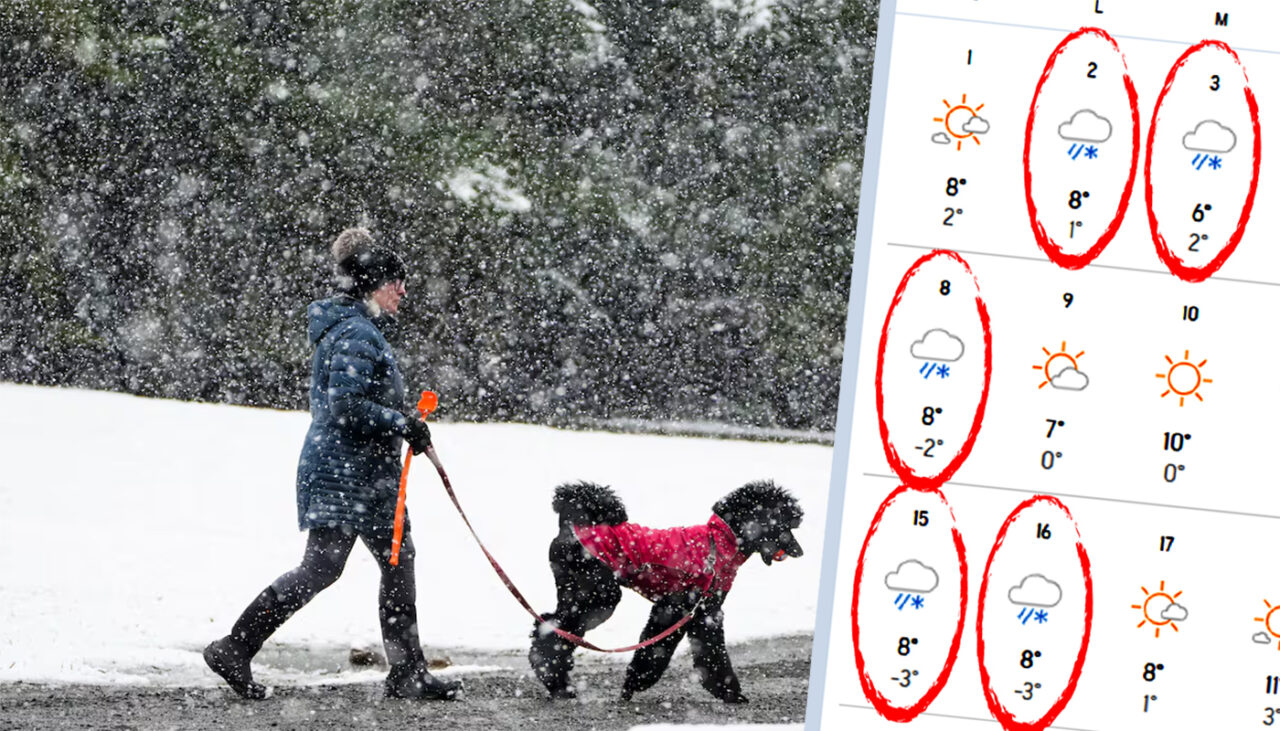 Orașele din România în care ninge în martie și aprilie. București e pe lista meteorologilor Accuweather