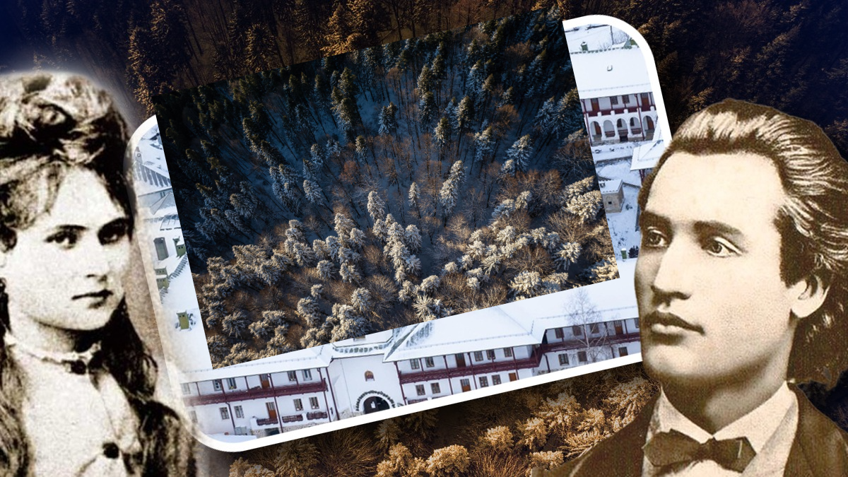 Ziua Culturii Naționale. Codrii de Aramă și Pădurea de Argint din poezia lui Mihai Eminescu există cu adevărat și pot fi vizitate