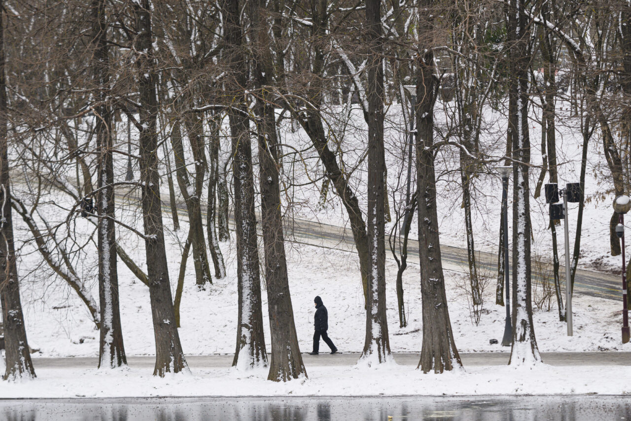 Vortexul polar paralizează România în februarie. Zonele vizate de ger năprasnic