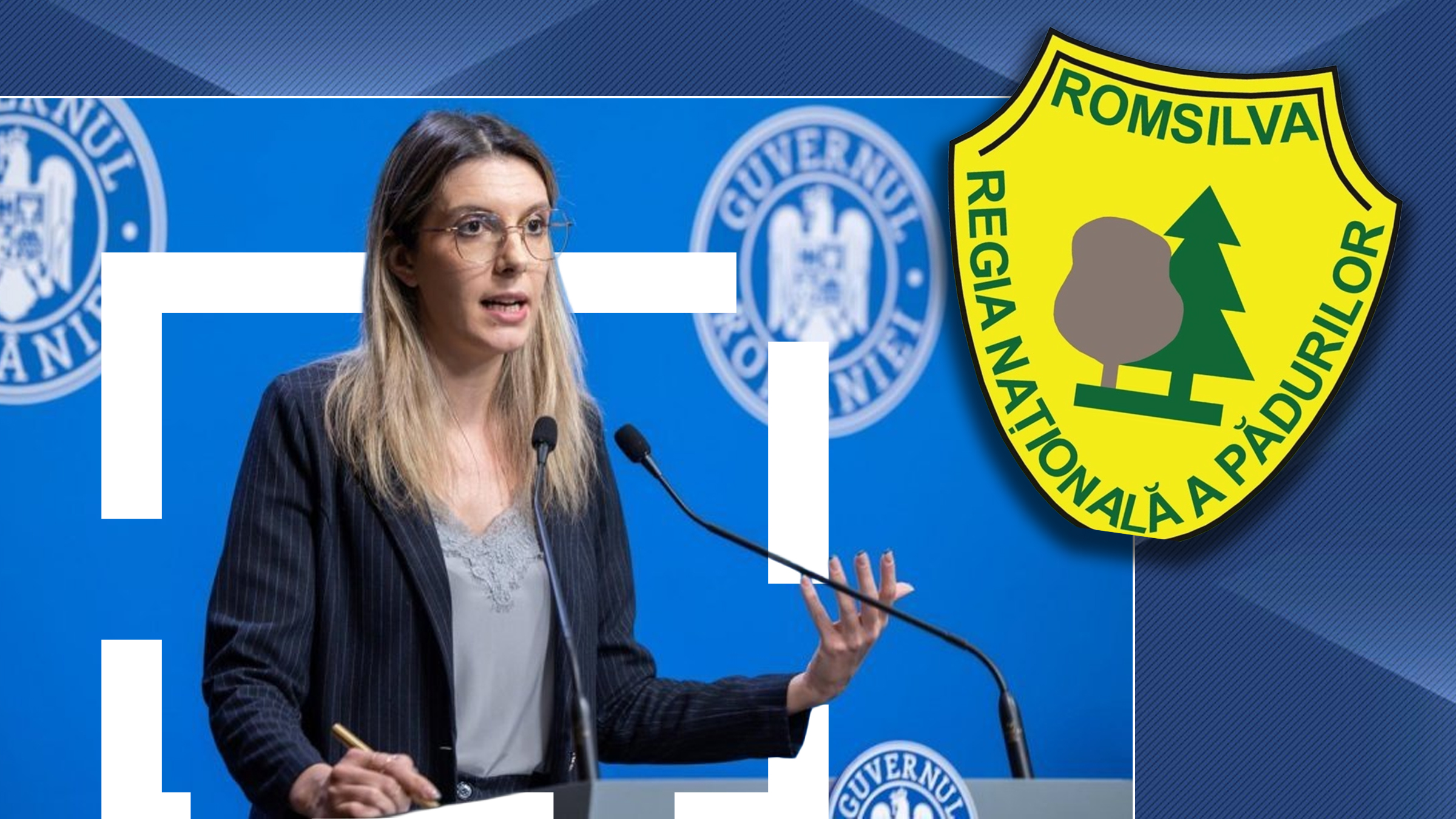 Diana Buzoianu caută șef la Romsilva