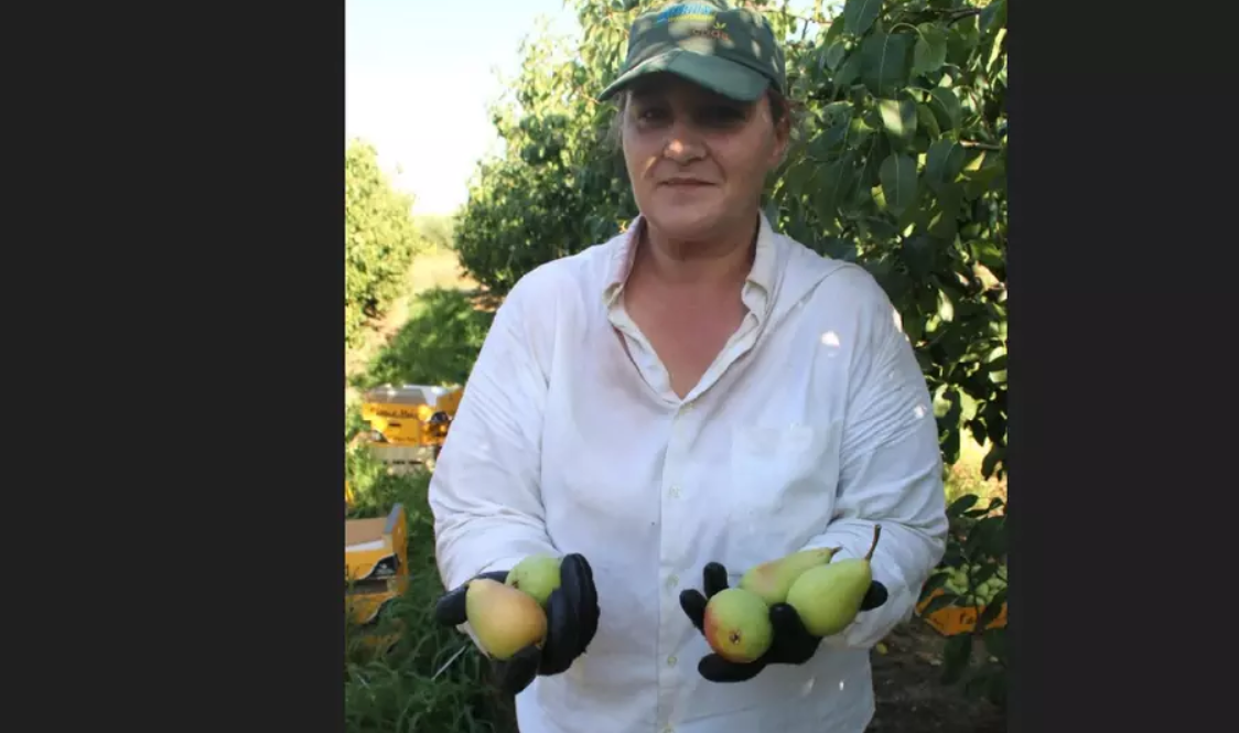 Angela în țara Conchistadorilor. Cum și-a refăcut viața contabila Chirobocea în Extremadura