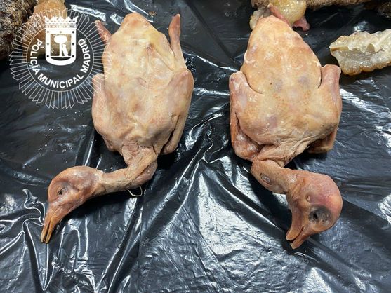 Trufandale made in China. Porumbei serviți într-un restaurant chinezesc din Madrid pe post de rață