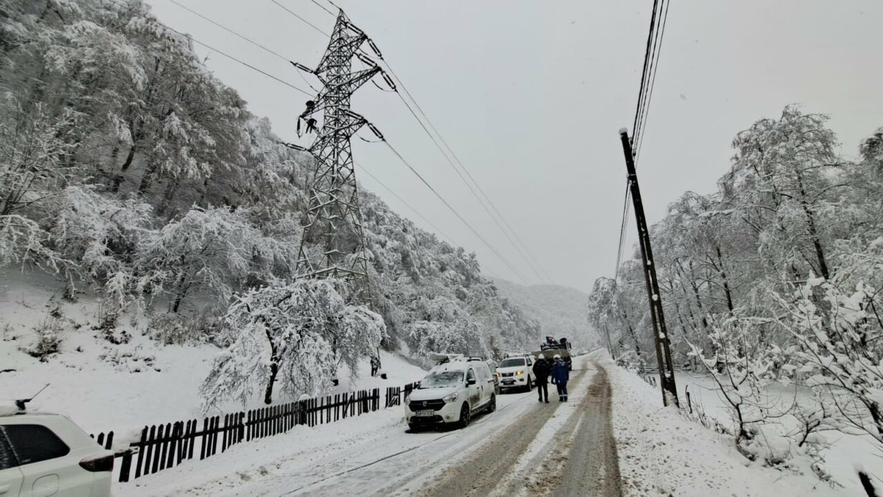 Distribuţie Energie Electrică anunţă când va reporni alimentarea cu energie electrică în judeţele afectate de vânt şi zăpadă