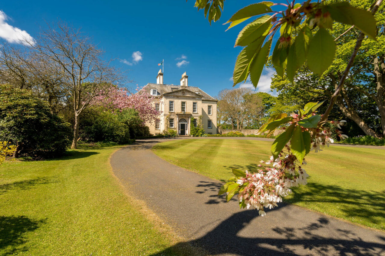 Țara care a anunțat că taxează conacele și avioanele private ale bogaților ca să-și protejeze săracii, în timp ce Trump dă peste cap cea mai celebră băutură a lumii