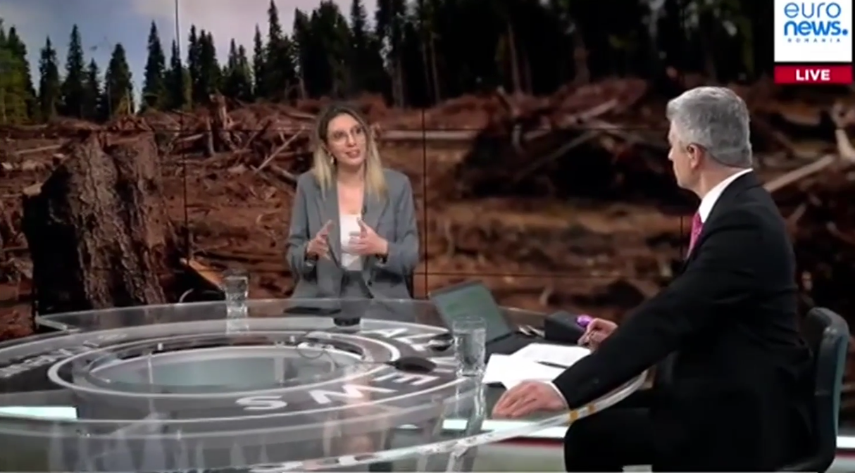 Diana Buzoianu povestește cum se poate păcăli sistemul Sumal de către hoții de lemne din România