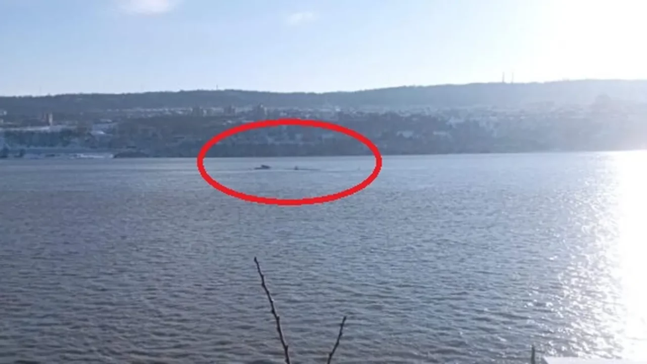 Dezastru pe Dunăre. O barjă cu 1300 de tone de îngrășământ chimic s-a răsturnat la Ziminicea. Autoritățile ar fi încercat să ascundă incidentul