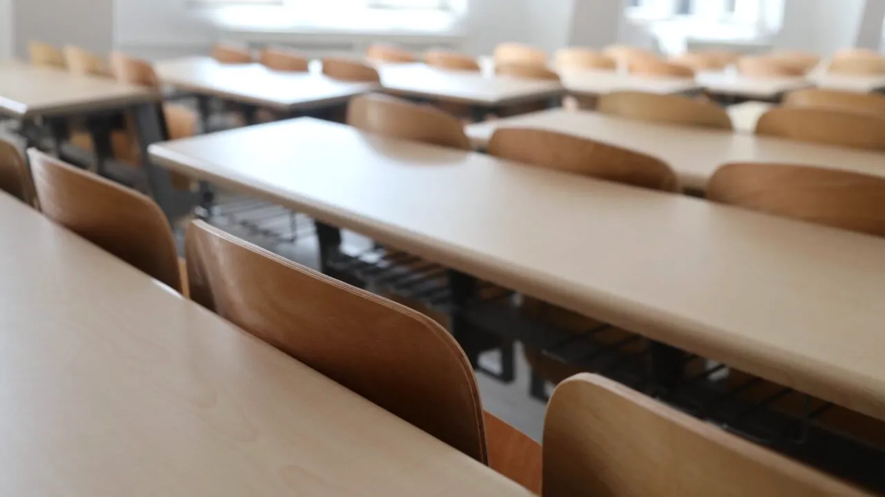 Cursurile au fost suspendate sau organizate online, joi, la zeci de unităţi de învăţământ din 15 judeţe, din cauza condițiilor meteo