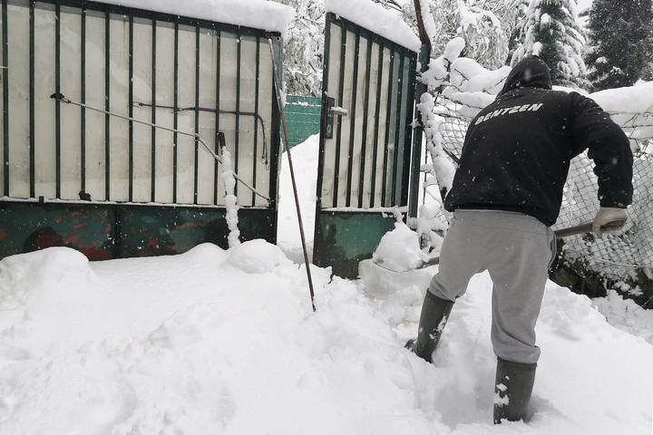 Sala de fitness din fața casei: cercetătorii de la Harvard dezvăluie câte calorii arzi la lopată