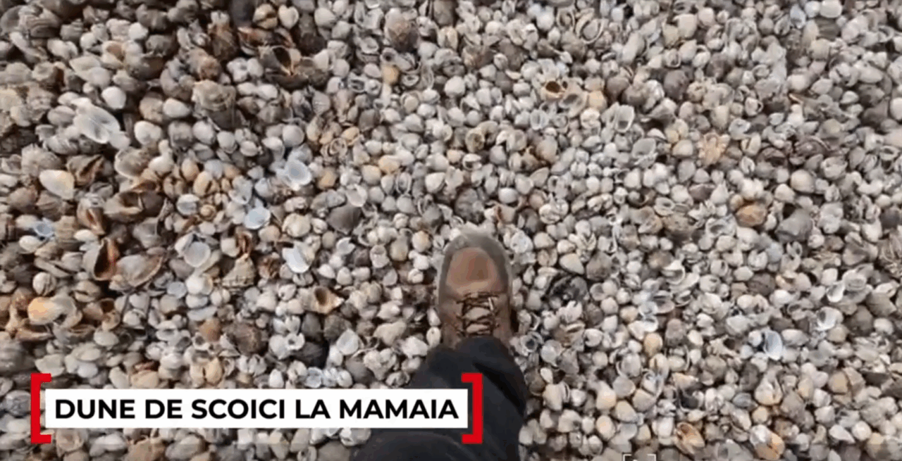 Fenomen bizar la Marea Neagră, care nu s-a mai petrecut de zece ani. Cum arată acum plajele din Mamaia după o furtună care a schimbat complet peisajul