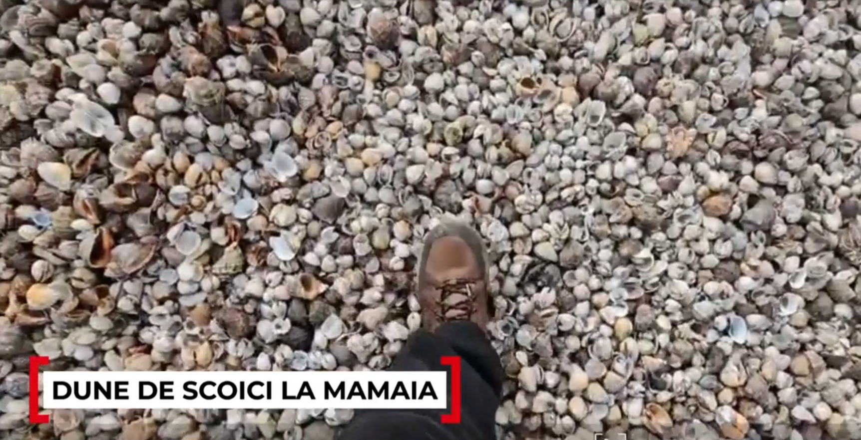 Fenomen bizar la Marea Neagră