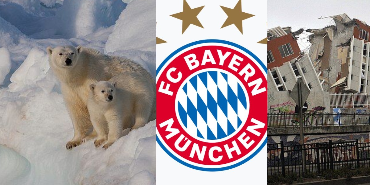 27 Februarie, calendarul zilei: Ziua Internațională a Ursului Polar. Bayern München împlinește 126 de ani. Cutremur de 8,8 grade zguduie Chile