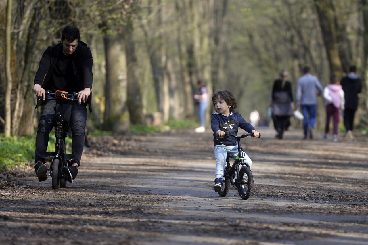 Romsilva contrazice raportul Corpului de Control al ministerului Mediului: „Drumul din pădurea Băneasa figurează din anii ’70 ca drum forestier”