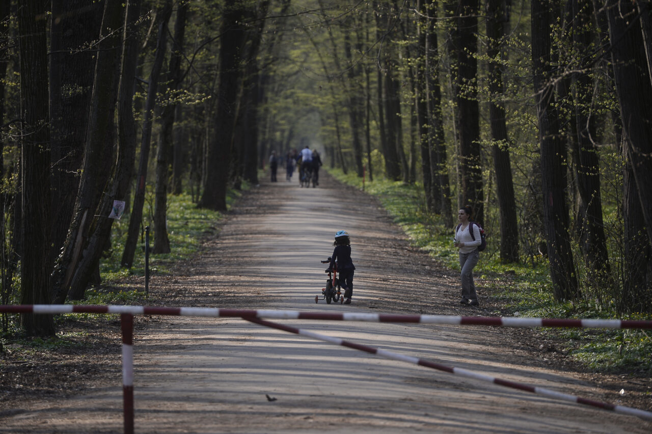 Corpul de Control al Ministerului Mediului vrea sesizarea justiției după verificările privind drumul forestier Băneasa. Care sunt motivele