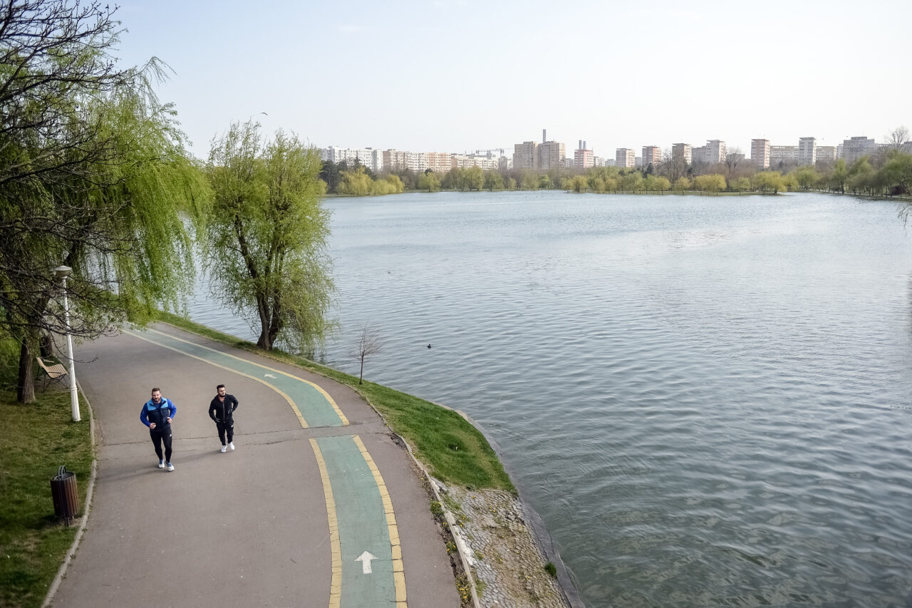 Apariția incredibilă într-un celebru parc din București. Primăvară în plină iarnă: „Nu ne-a venit să credem”