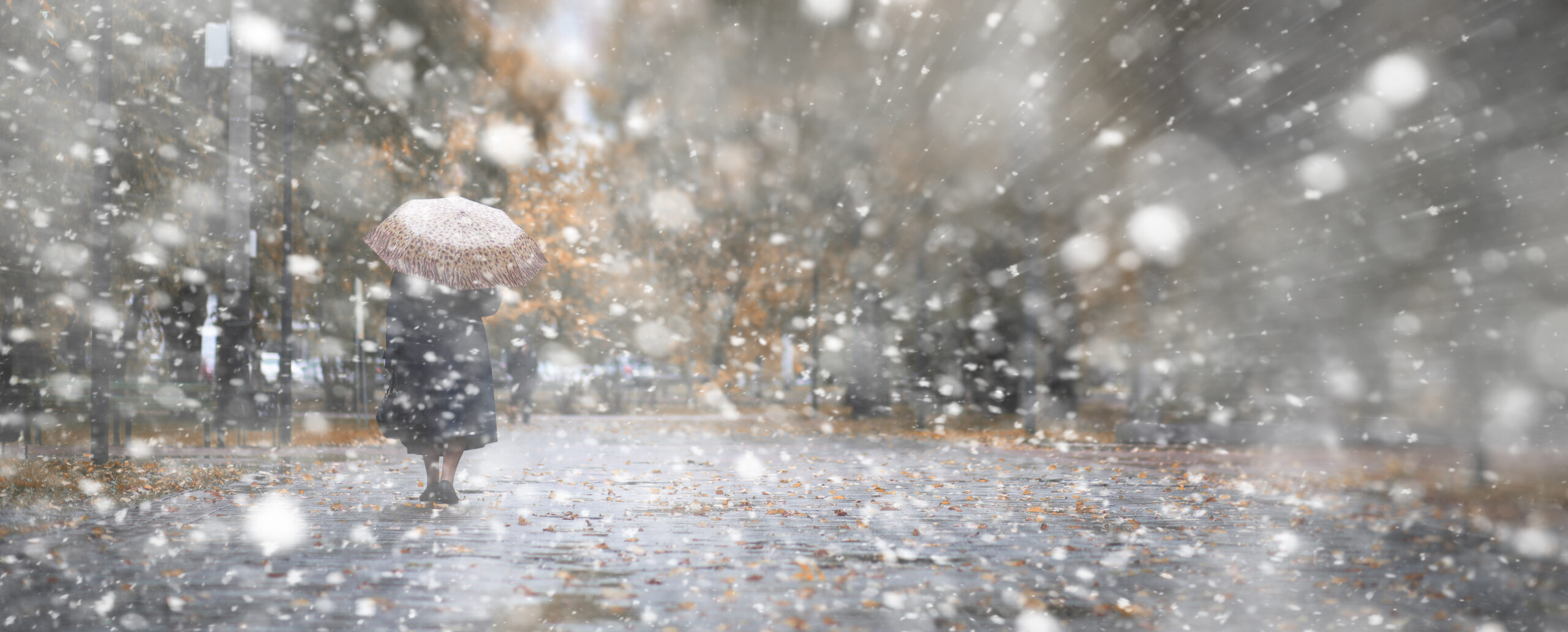 Ninsori în București: 15 cm de zăpadă pe 17 februarie