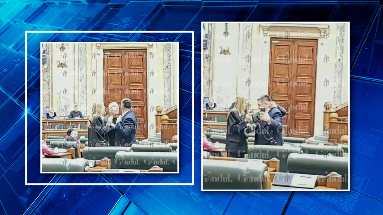 Scene ireale în Parlamentul României. Un deputat PSD sare la bătaie la un parlamentar Pace. Este implicată și Victoria Stoiciu în scandal