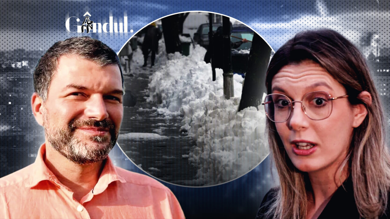 Adevărul despre „zăpada neagră” a Dianei Buzoianu. Ministra Mediului este contrazisă de fostul șef al Gărzii Naționale de Mediu. „Nu e vorba despre poluarea în sine a aerului, pentru că n-a nins cu praf saharian zece zile peste București”