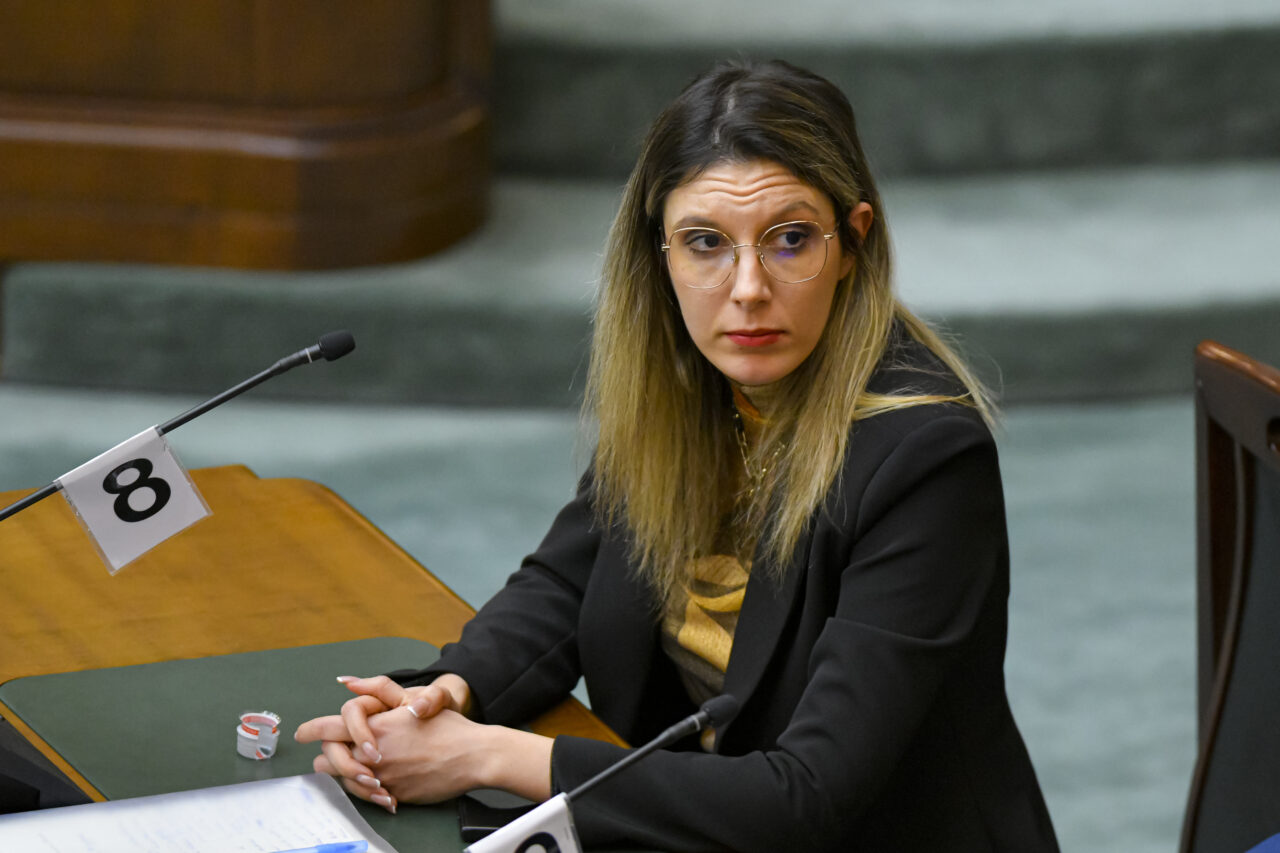 Când vor fi instalate gardurile electrice împotriva urșilor. Diana Buzoianu: „Există un risc mare pentru oameni”