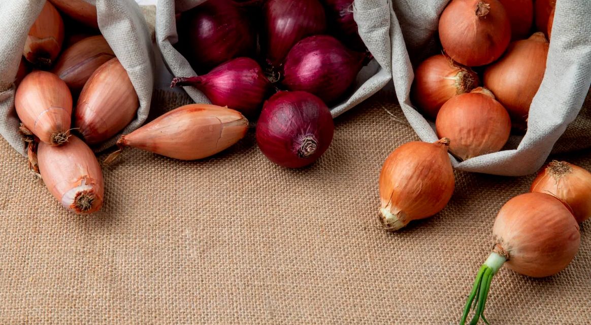 Cum să alegi ceapa. Le ce trebuie să fii atent când o cumperi