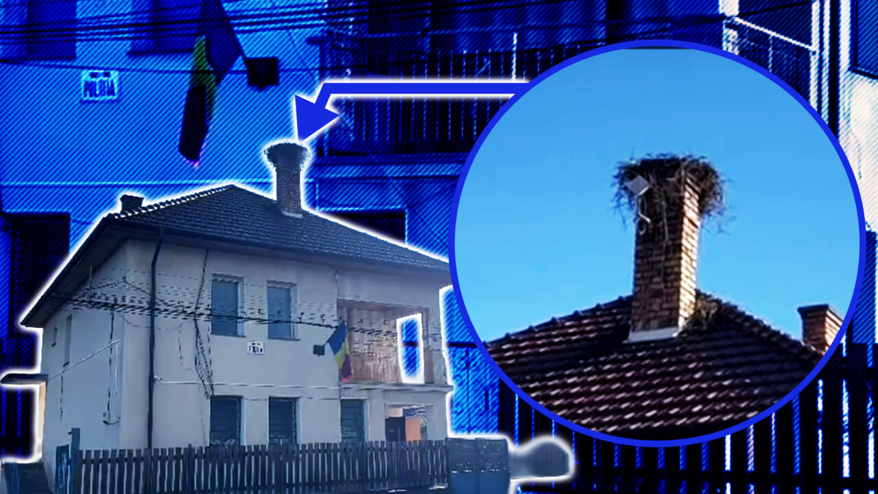 O barză a oprit încălzirea cu lemne în postul de poliţie din Călăţele. Şi-a făcut cuib pe coşul de fum