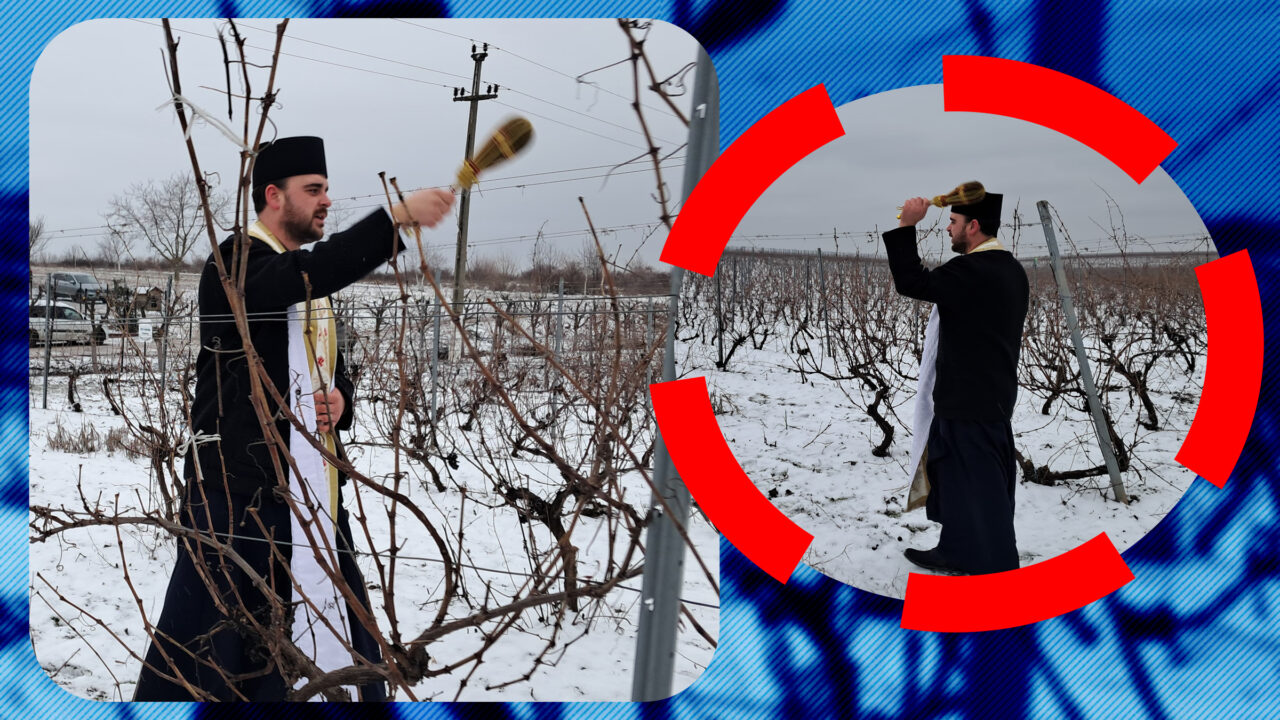 Trifonul, sărbătorit în Dolj. Preoții au sfințit viile din Segarcea pentru un an roditor