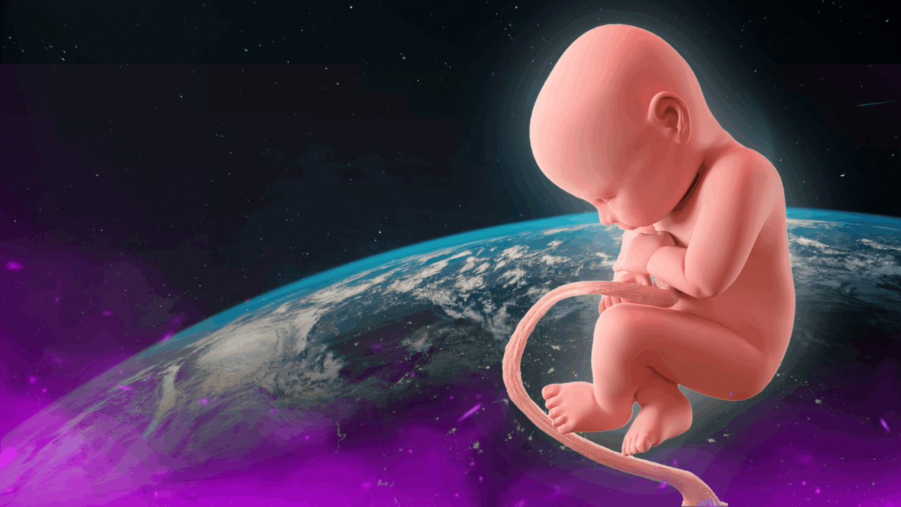 Studiu. Houston, avem o problemă. Sex în spațiu și reproducere în imponderabilitate; nu mai este SF