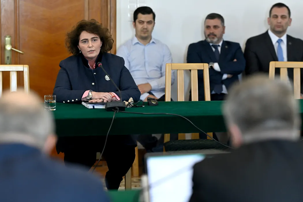 Cum s-au folosit mafioții ucraineni de numele unei judecătoare CCR pentru a fura o firmă din România. Ce spune Iuliana Scântei