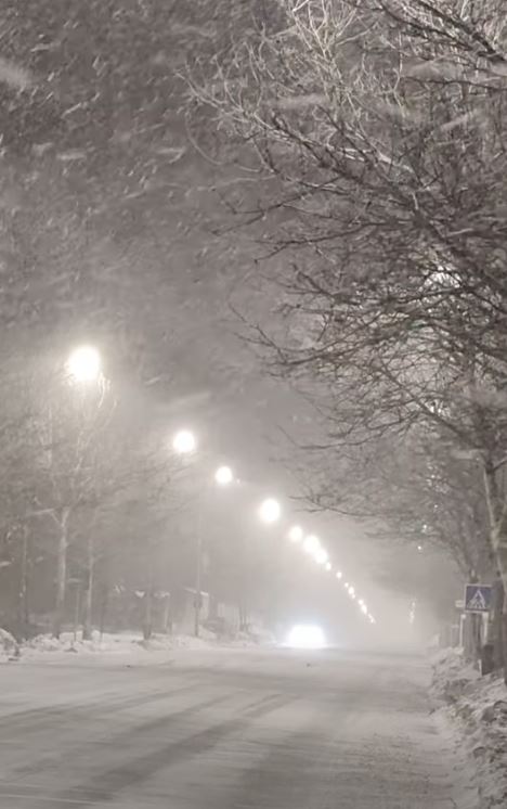 Cod galben de ninsori în București și alte 17 județe din țară. Viscolul a smuls copacii din rădăcini, iar mai multe autoturisme au fost avariate