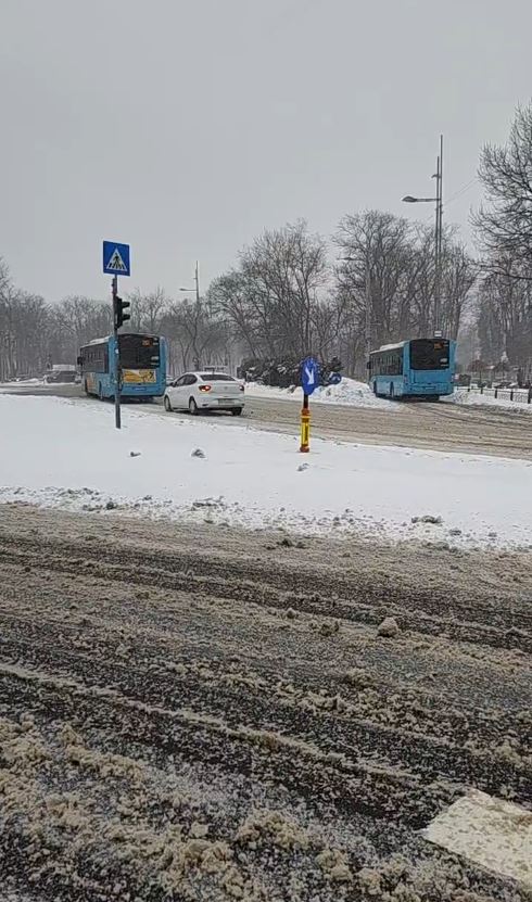 Cod galben de ninsori în București și alte 17 județe din țară. Viscolul a smuls copacii din rădăcini, iar mai multe autoturisme au fost avariate