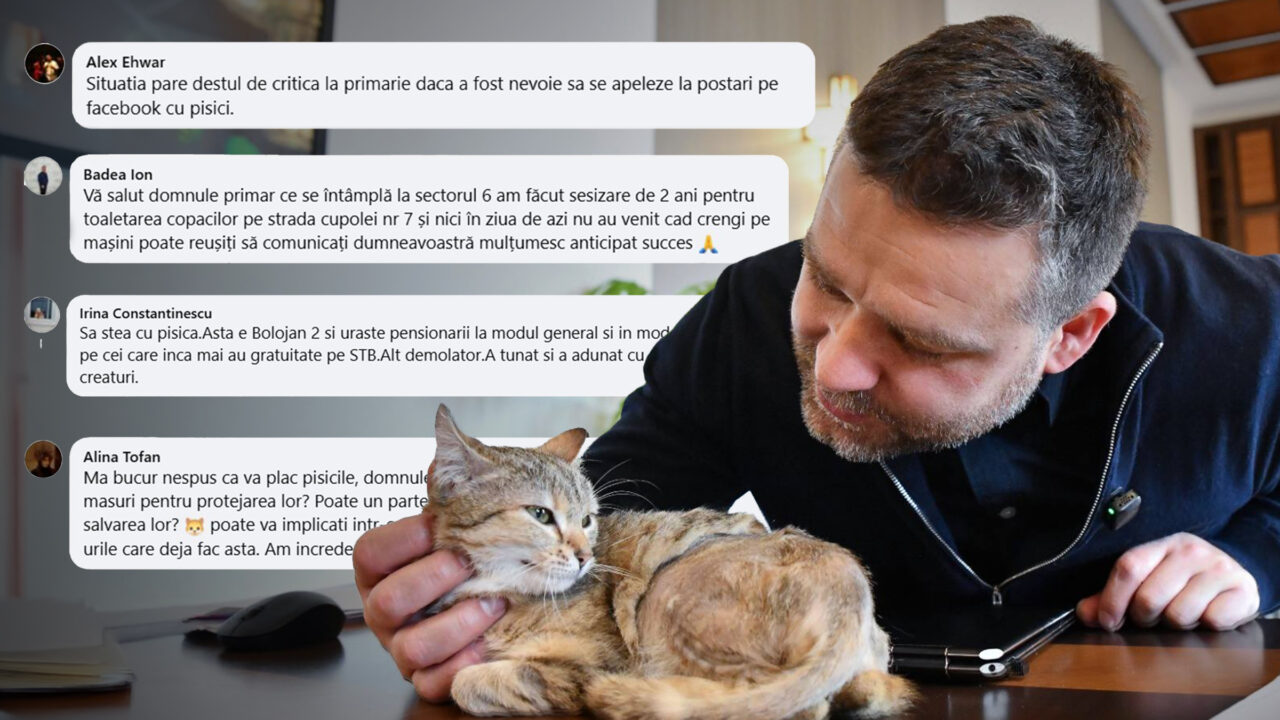 Primarul Ciucu postează poze cu pisici pe Facebook. Bucureștenii îl întreabă în comentarii de problemele orașului