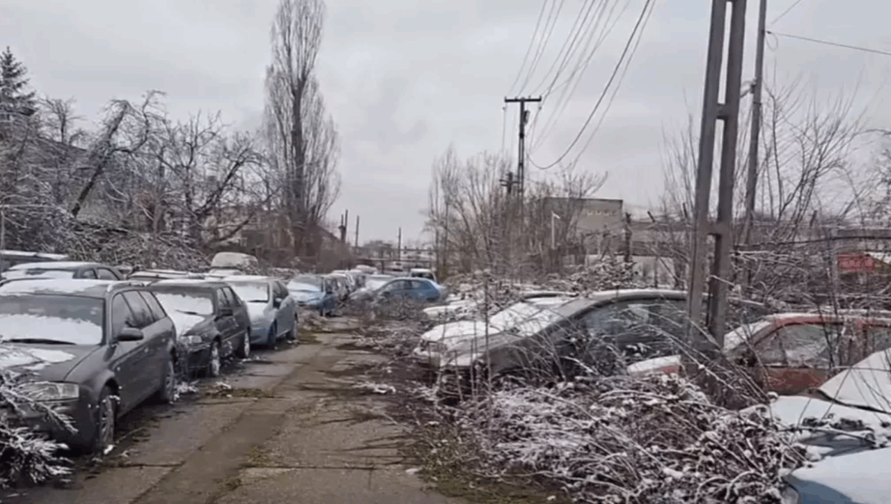 Ciprian Cherciu, fondatorul platformei EcoDrive: Statul are peste 1,2 miliarde lei pentru Rabla 2026