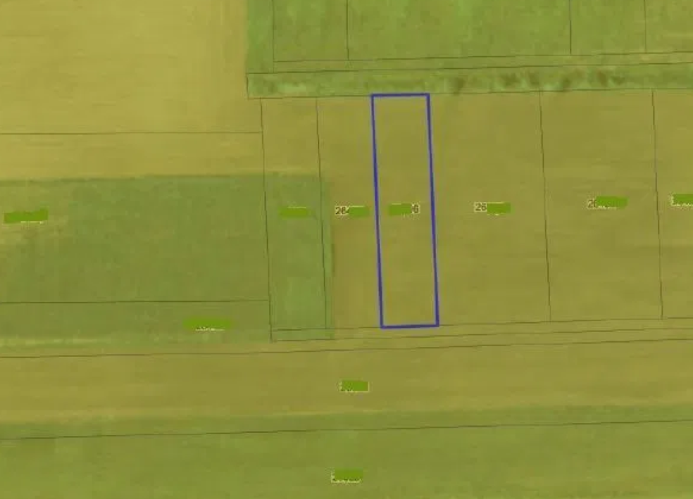 Comuna din România unde un teren agricol se vinde cu 2 RON/m². Ce suprafață este disponibilă