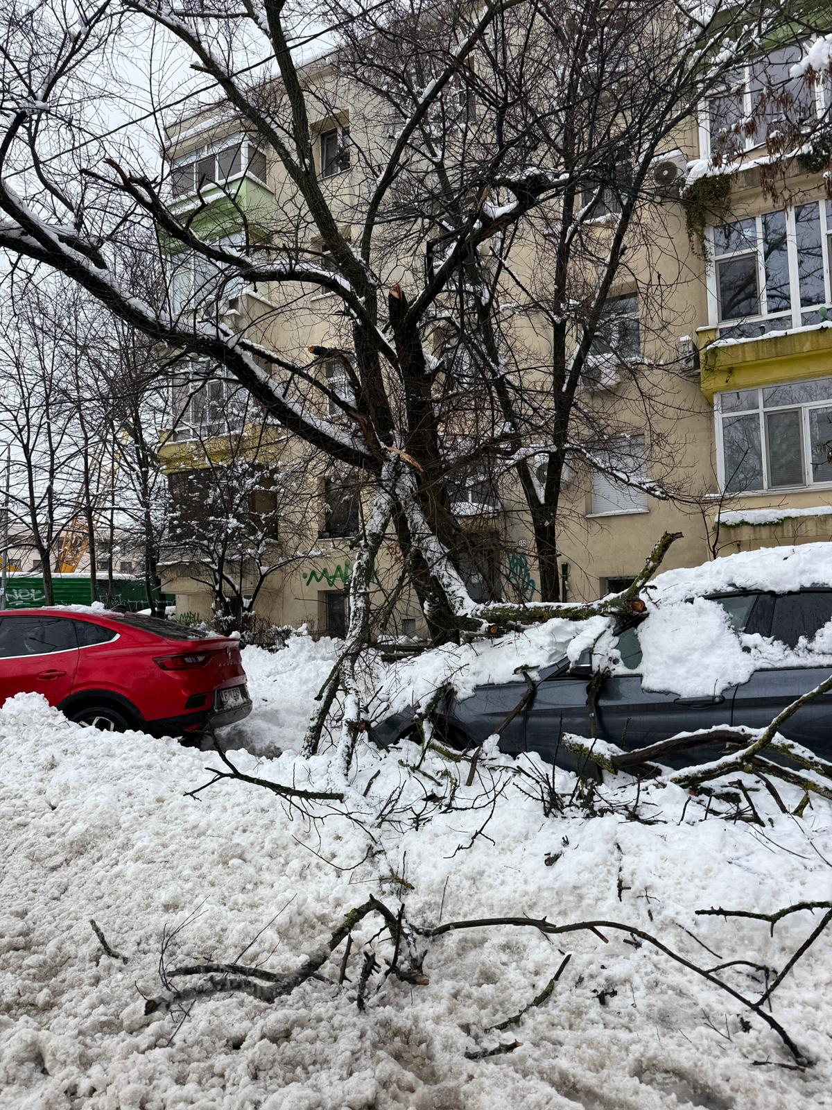 Bucureștenii, lăsați să se descurce singuri în fața viscolului. Stații inaccesibile și pagube în lanț după ninsoare