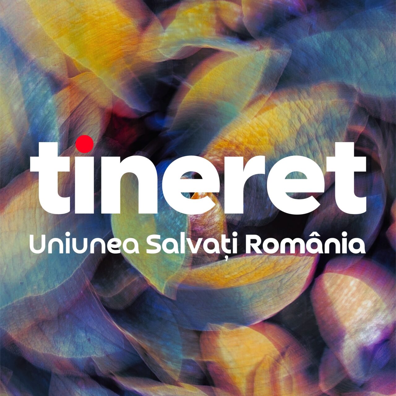 Fara nicio dovadă, tineretul USR îl acuză pe Ponta că „încearcă să-și bage copilul pe nașpa, în fața altor copii la repatriere și acum se plânge că nu-i merge pungășia”