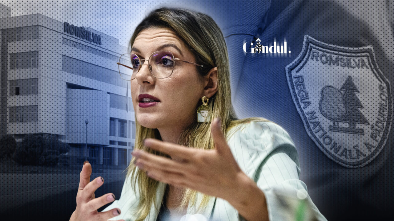 Guvernul a aprobat Hotărârea privind reorganizarea Romsilva. Numărul direcțiilor silvice se reduce. „Fără operatori de xerox”