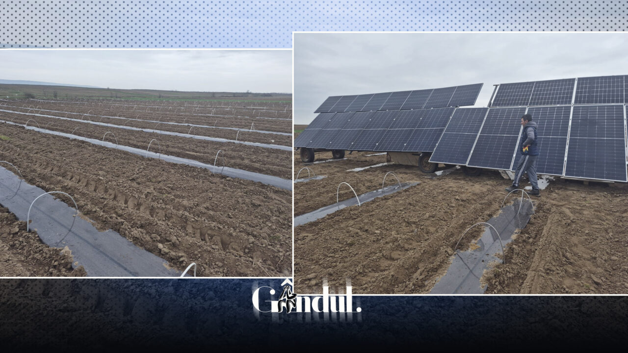 Soluție pentru a înlocui motopompele cu benzină și motorină. Fermierii trec la panouri solare în campurile de pepeni