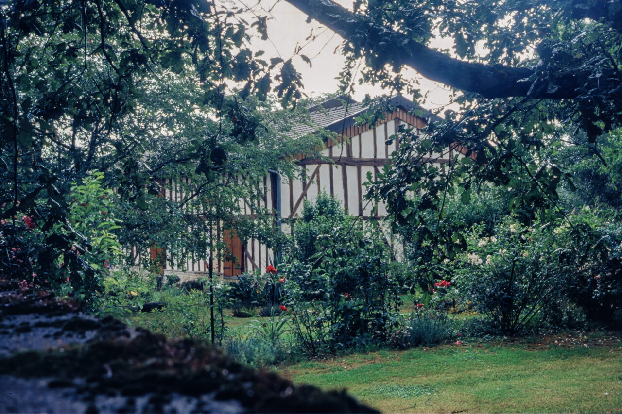 Ce flori să plantezi pentru a scăpa de buruienile din grădină, potrivit unui expert în grădinărit