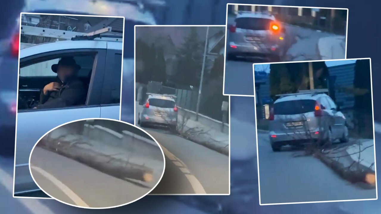Video. Nu ați mai văzut așa ceva. Un cetățean din Bistrița remorchează un copac de 16 metri cu mașina, prin localitate