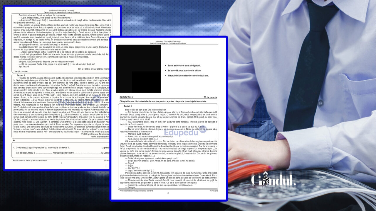 Ce subiecte s-au dat la simularea pentru Evaluarea Națională. Întrebarea care i-a pus în dificultate pe elevii de clasa a VIII-a