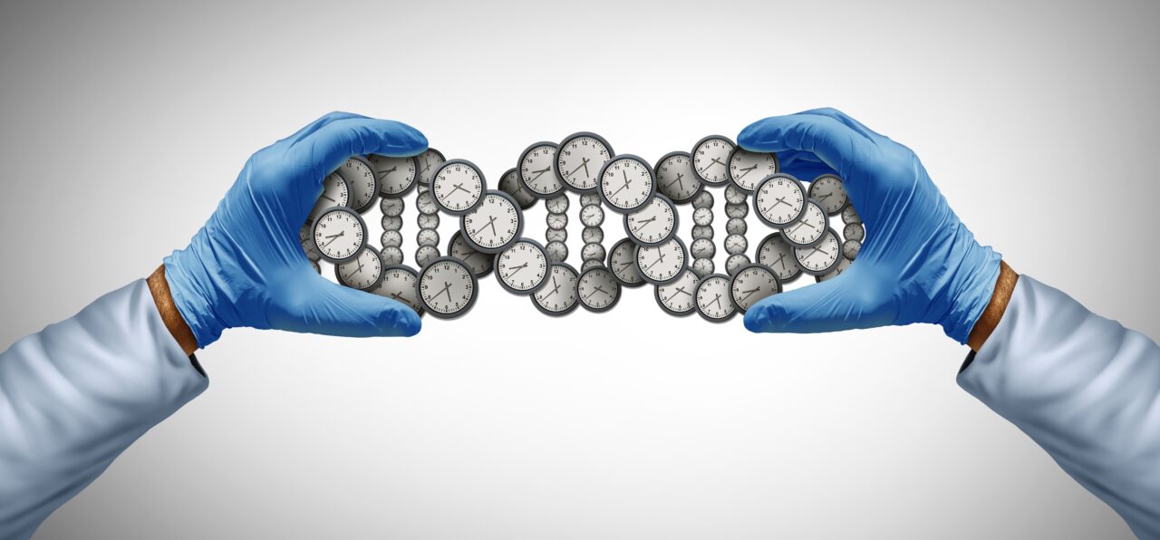 Cum influențează comportamentul zilnic durata vieții, potrivit unui studiu al Universității Stanford