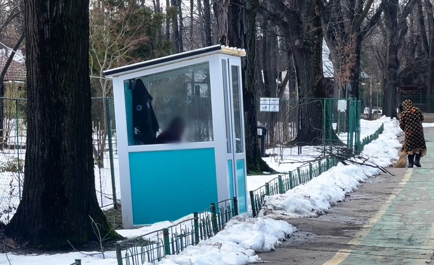 Primăria Capitalei aruncă pe fereastră milioane de lei pentru paza Parcului Herăstrău cu bodyguarzi care mai mult „taie frunza la câini”. Marile parcuri din București, „păzite” cu un contract de peste 7 milioane de euro