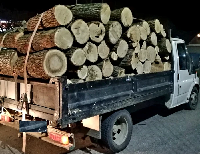 Pădurarii își pun bețe în roate între ei. Direcția Silvică a fost sancționată de Garda Forestieră, iar cazul a ajuns în instanță