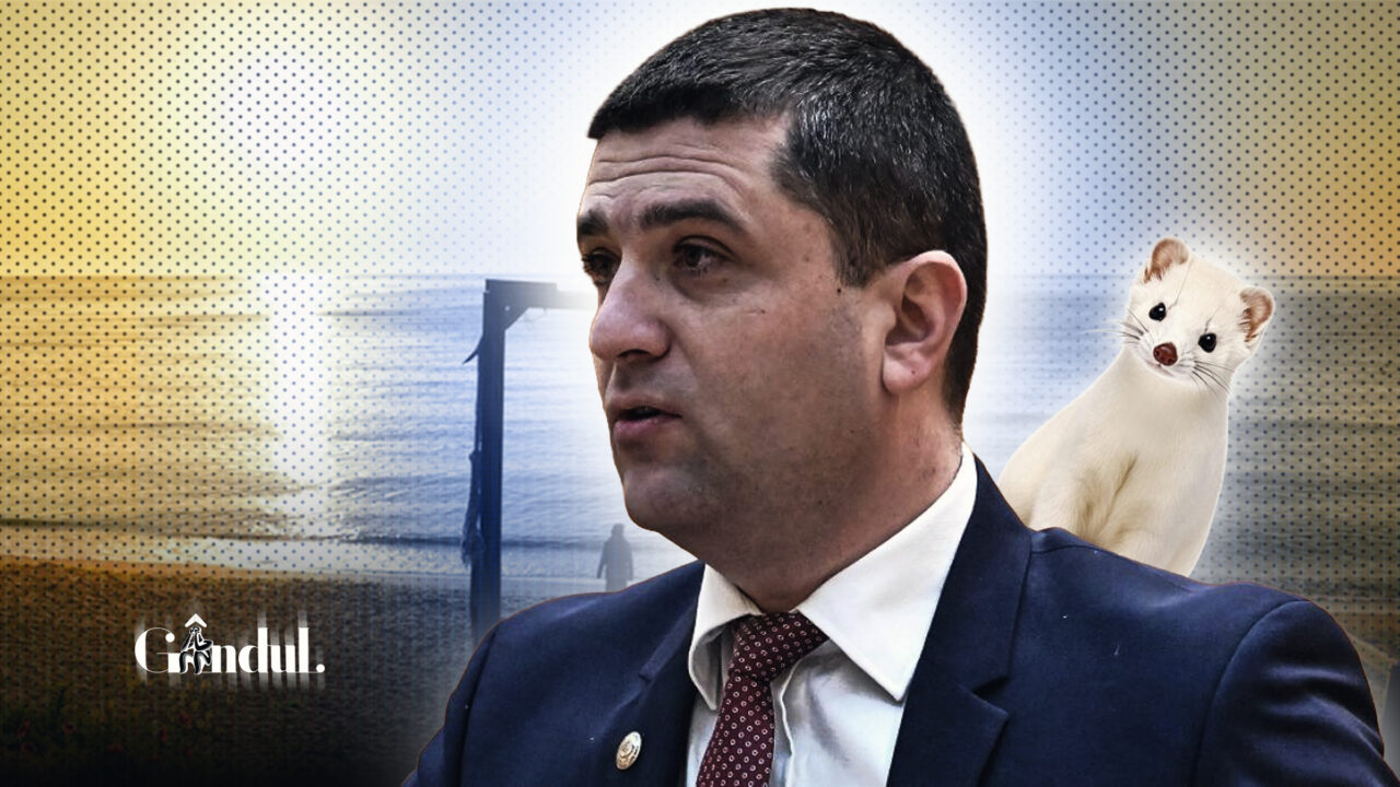 Radu Miruță, confuz la votul din Parlament pe folosirea bazelor românești de către americani:„Răspundeți stăpânilor de la Apus”. La Apus sunt SUA